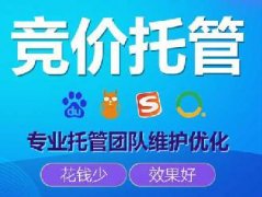 網絡競價托管價格